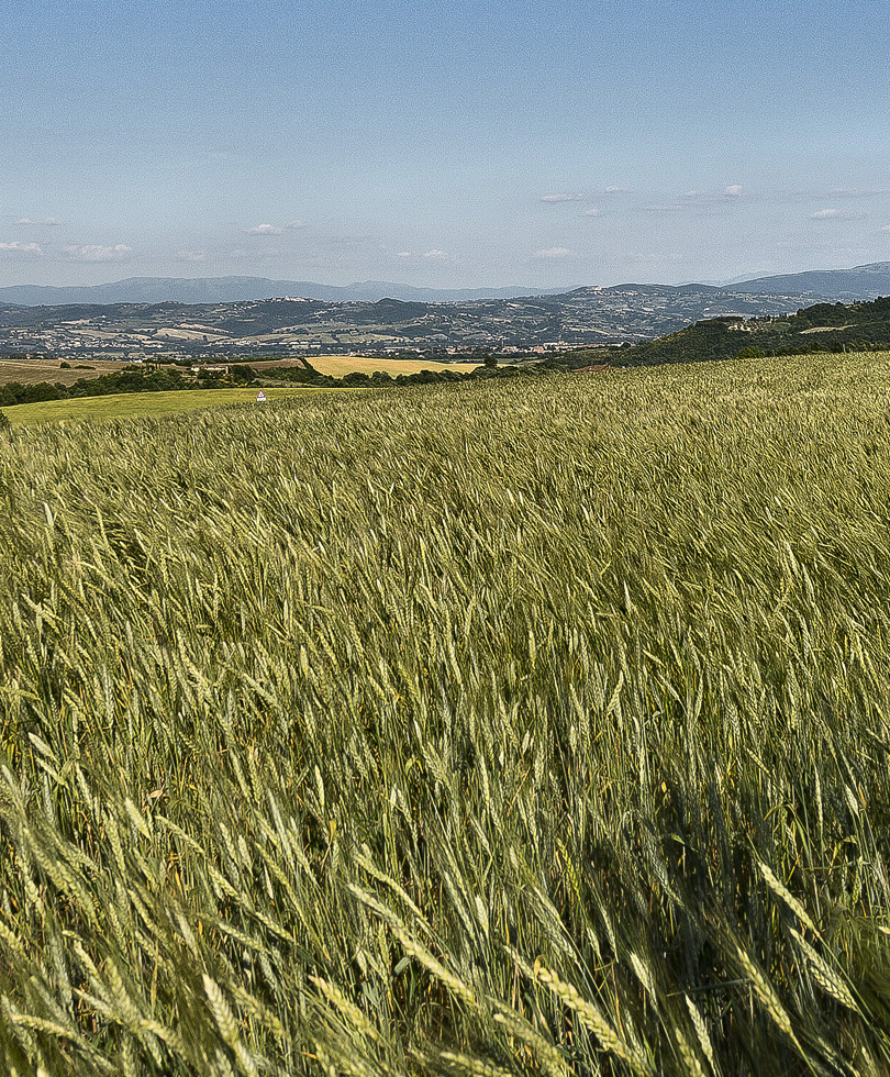 Azienda Agraria BioAlberti